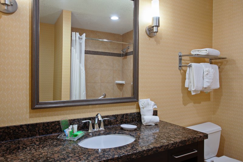 Holiday Inn San Mateo-San Francisco SFO