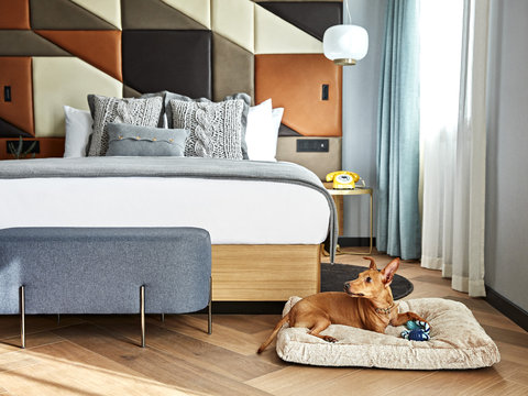Hotel Pet Friendly