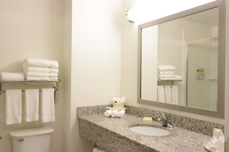 Holiday Inn Express and Suites Montgomery
