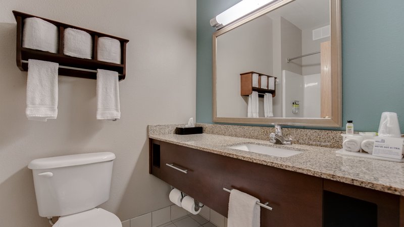 Holiday Inn Express Hotel & Suites ST. CLOUD