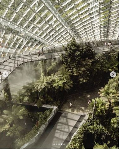 Cloud Forest at Gardens By The Bay