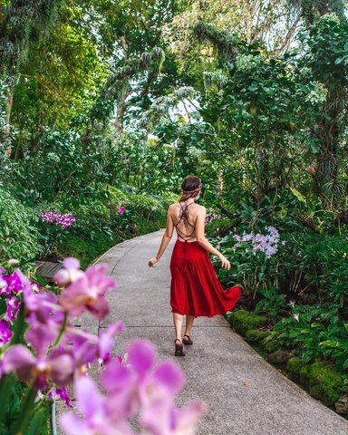 Singapore Botanic Gardens, a UNESCO World Heritage Site
