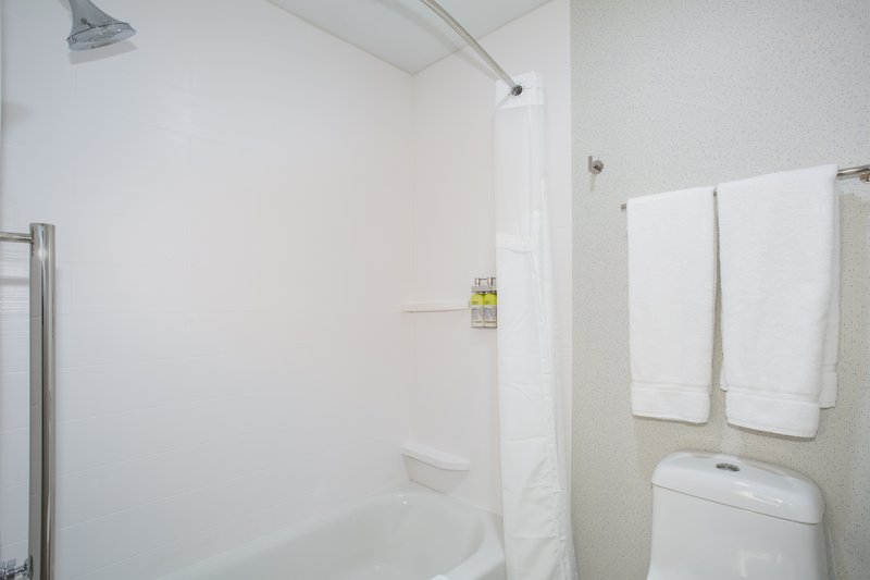 1 King Standard Mobil Access Tub