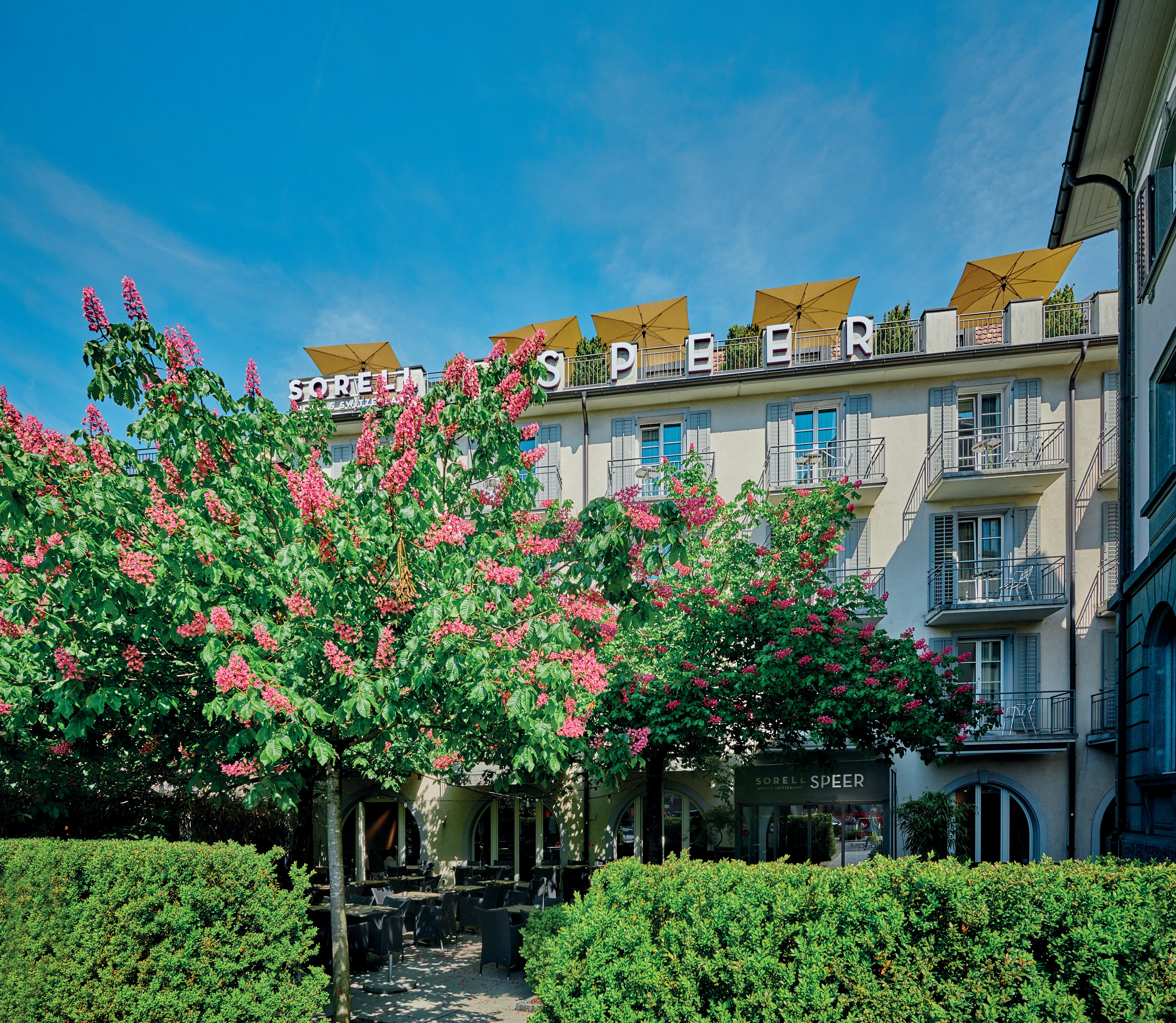 Sorell Hotel Speer