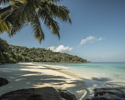 Petite Anse Beach