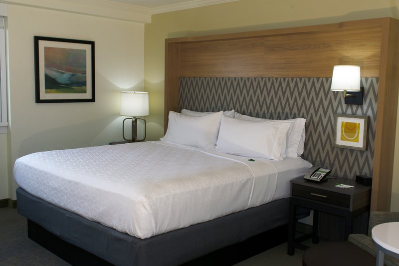 HOLIDAY INN BINGHAMTON DWNTWN