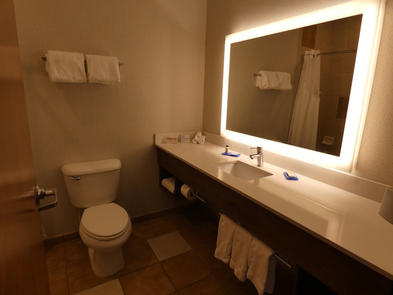 HOLIDAY INN EXP STES LIMON