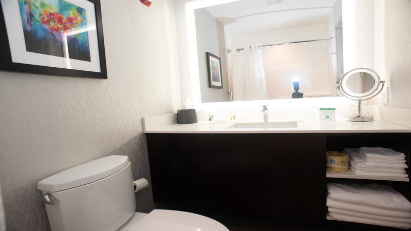Holiday Inn Hotel and Suites Joliet Southwest