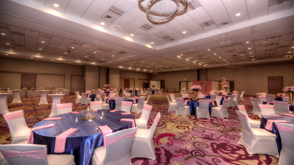 Holiday Inn Joliet Wedding Venue 