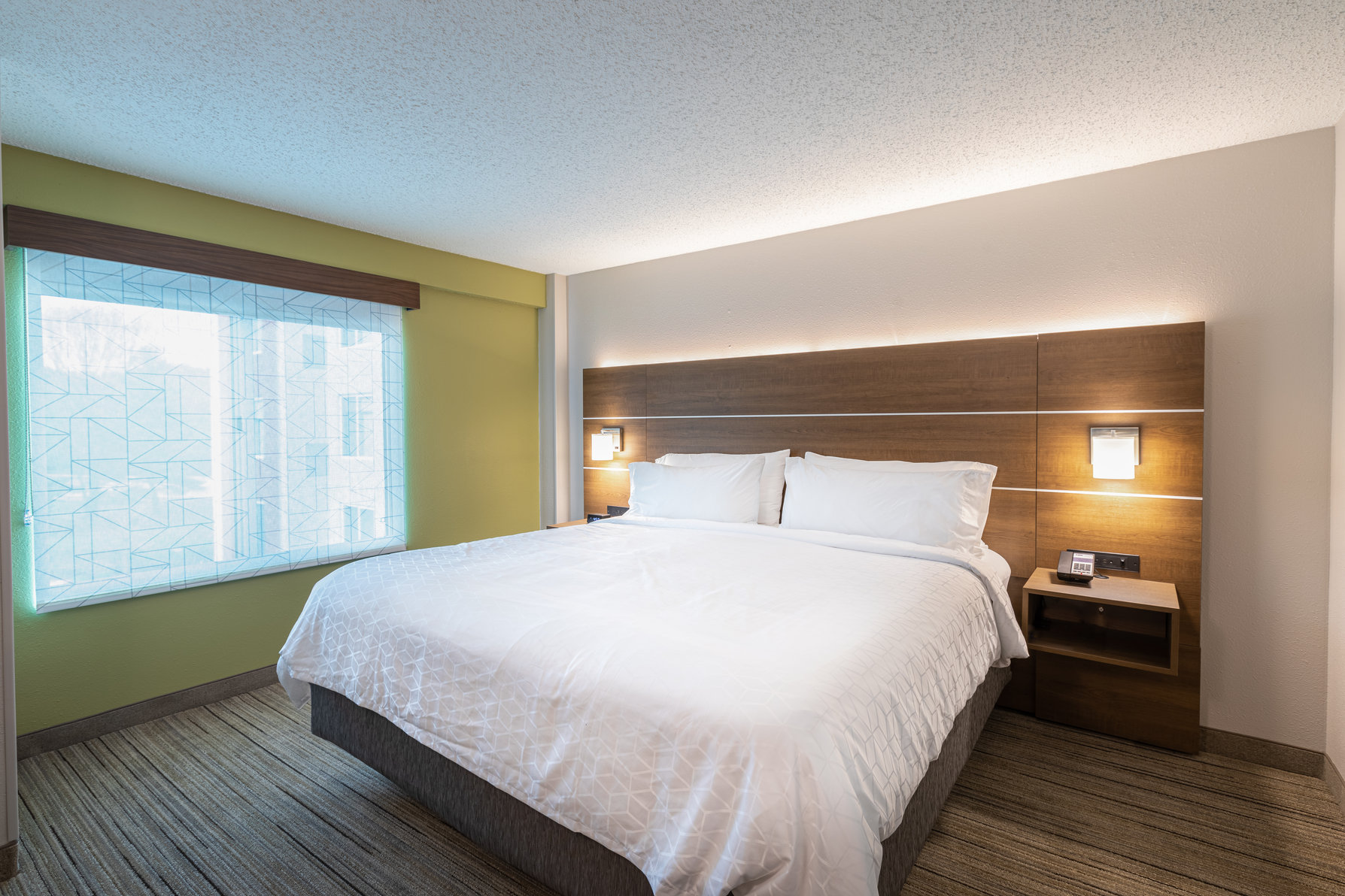 Holiday Inn Express & Suites Asheville Downtown Room Type - 1 King Bed Suite