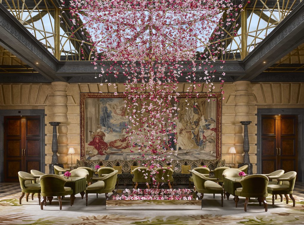 Guest photo