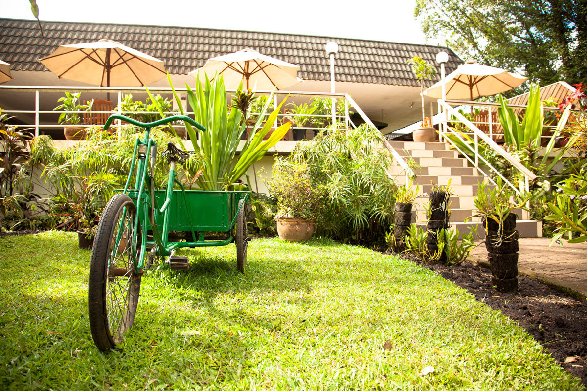 Bird of Paradise Hotel and Apartments