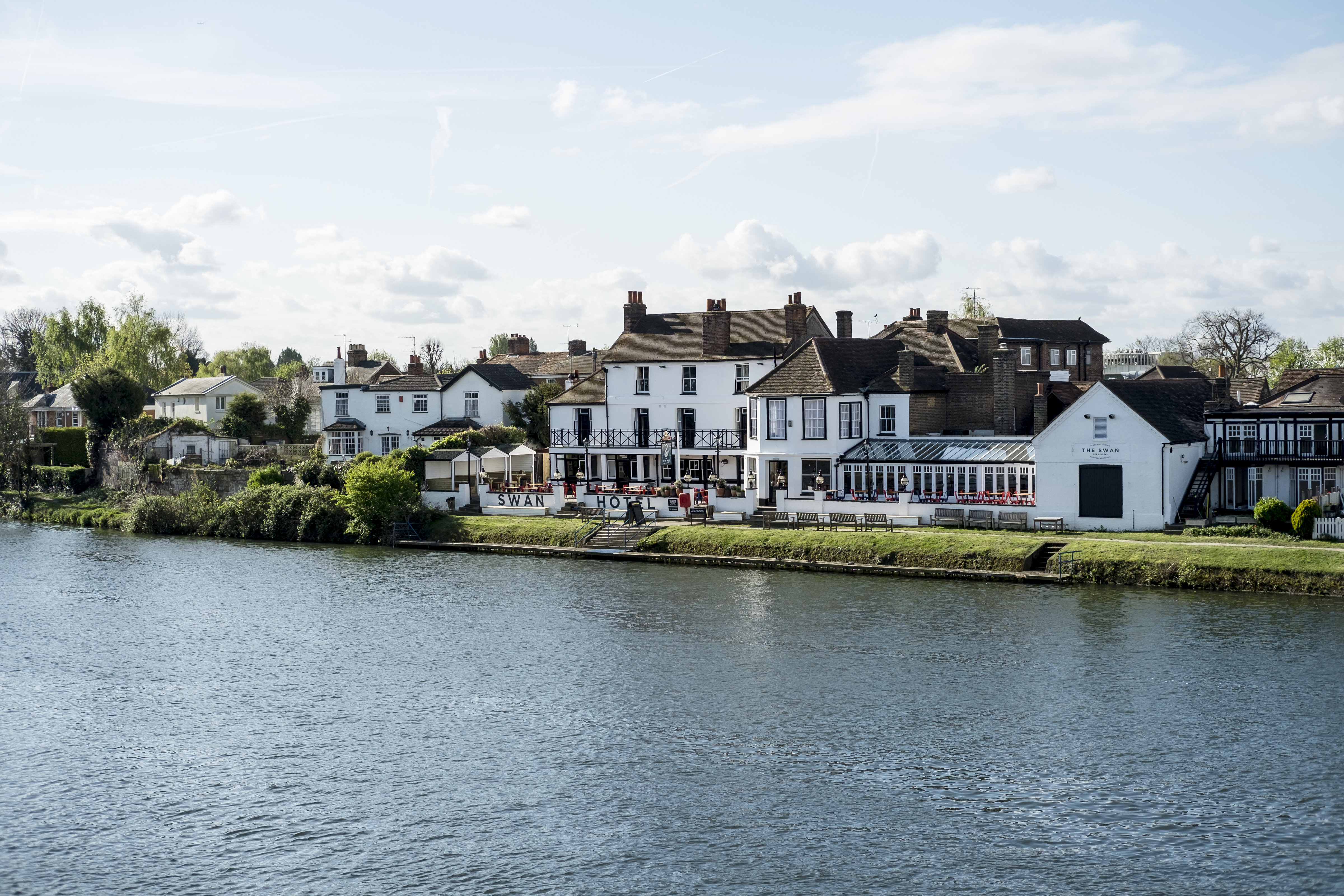 The Swan