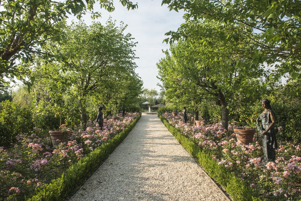 Guest photo