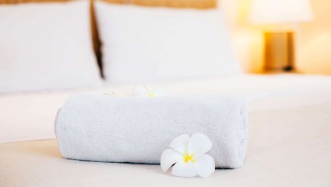 MH Howell Howell MI GuestRoom King