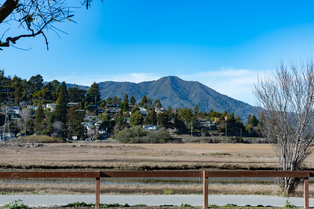 Mt. Tamalpais view