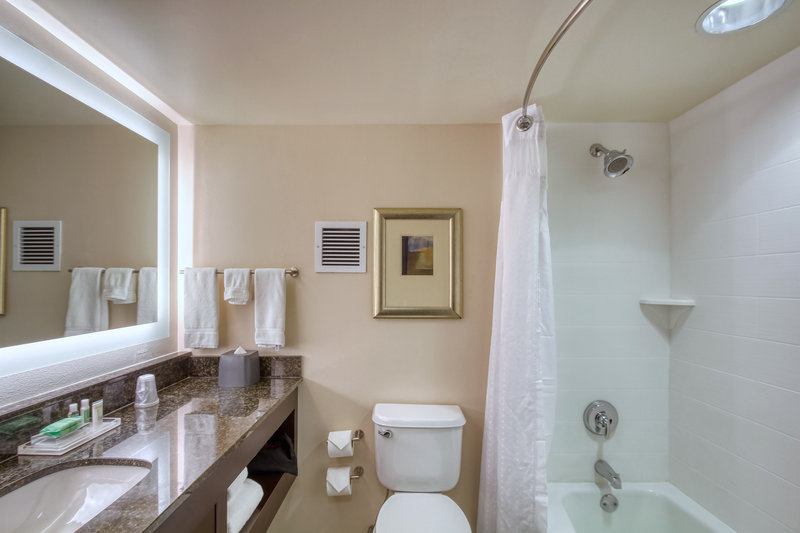 Holiday Inn & Suites ATLANTA AIRPORT-NORTH