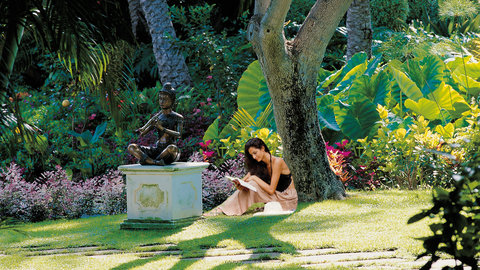 jardín