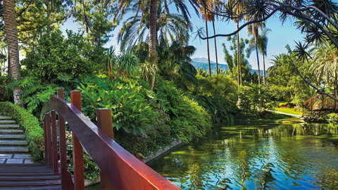 jardín