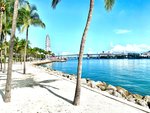 Atwell Suites MIAMI BRICKELL by IHG