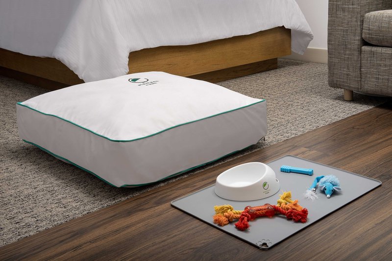 Pet Friendly Guest Rooms