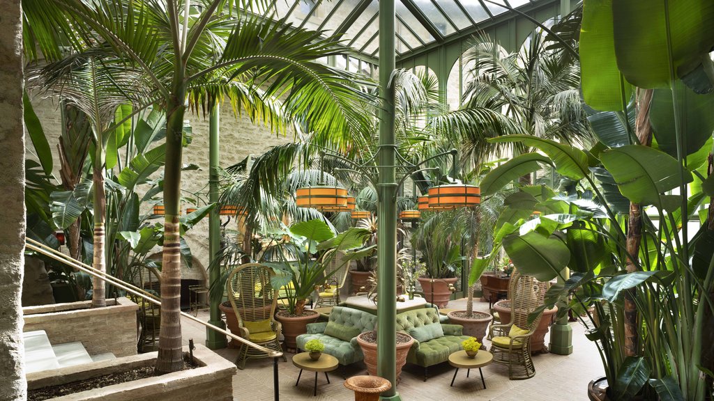 Guest photo