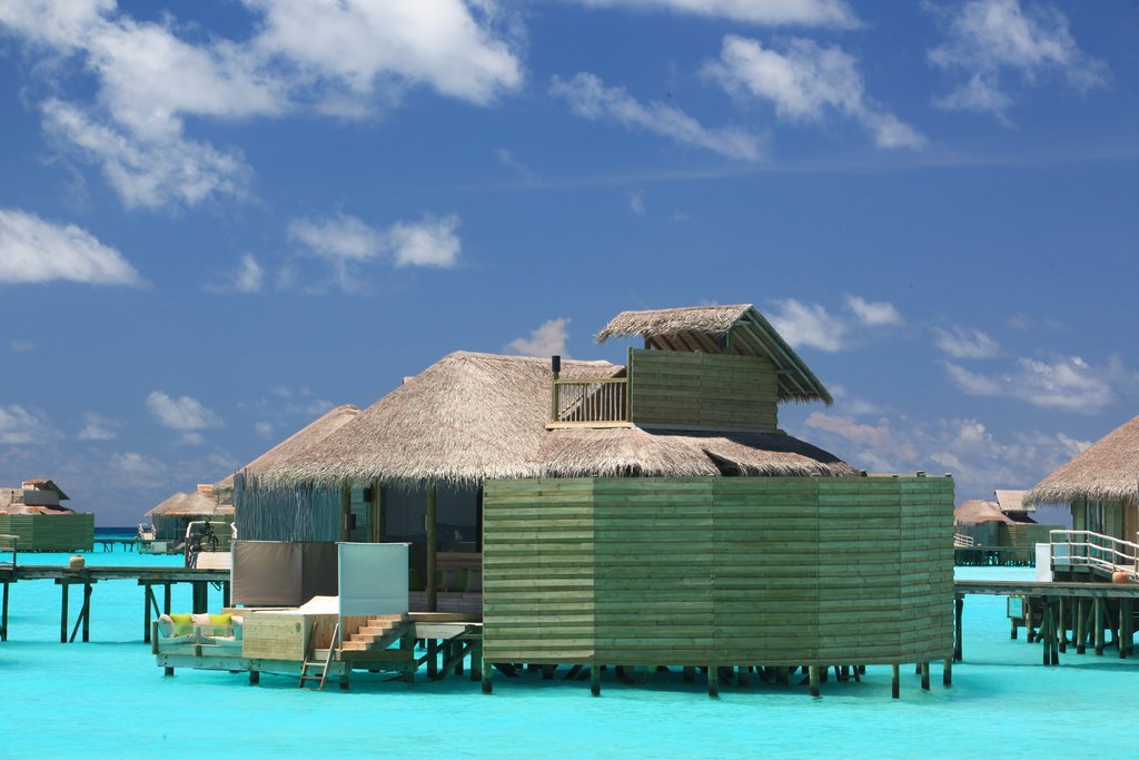 Guest photo
