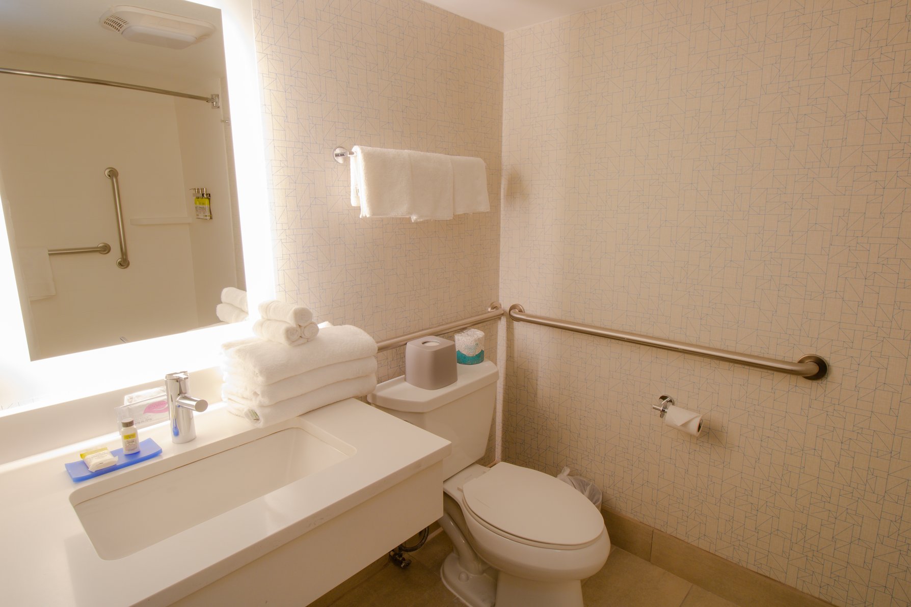 Holiday Inn Express & Suites MANASSAS Room Type - 1 Kng 1 Bedroom Ste Sofa Bed Comm Access