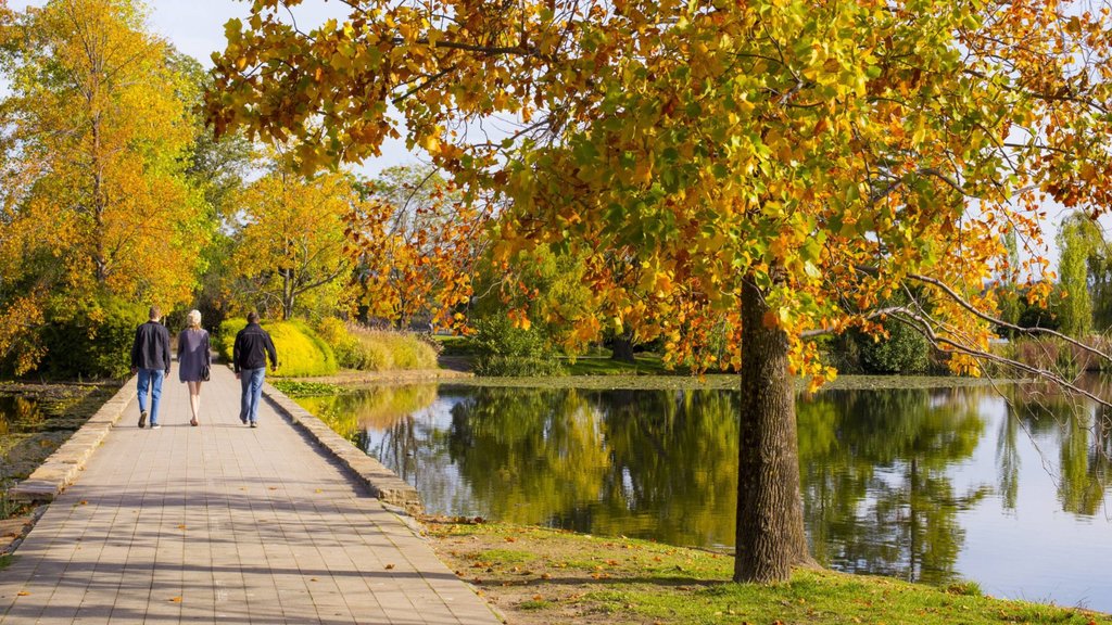 Crowne Plaza Canberra, an IHG Hotel - Couple walking in Commonwealth Park, Canberra