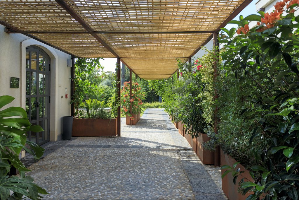 Guest photo