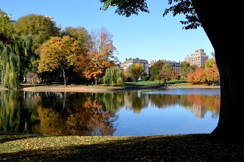Boston Garden