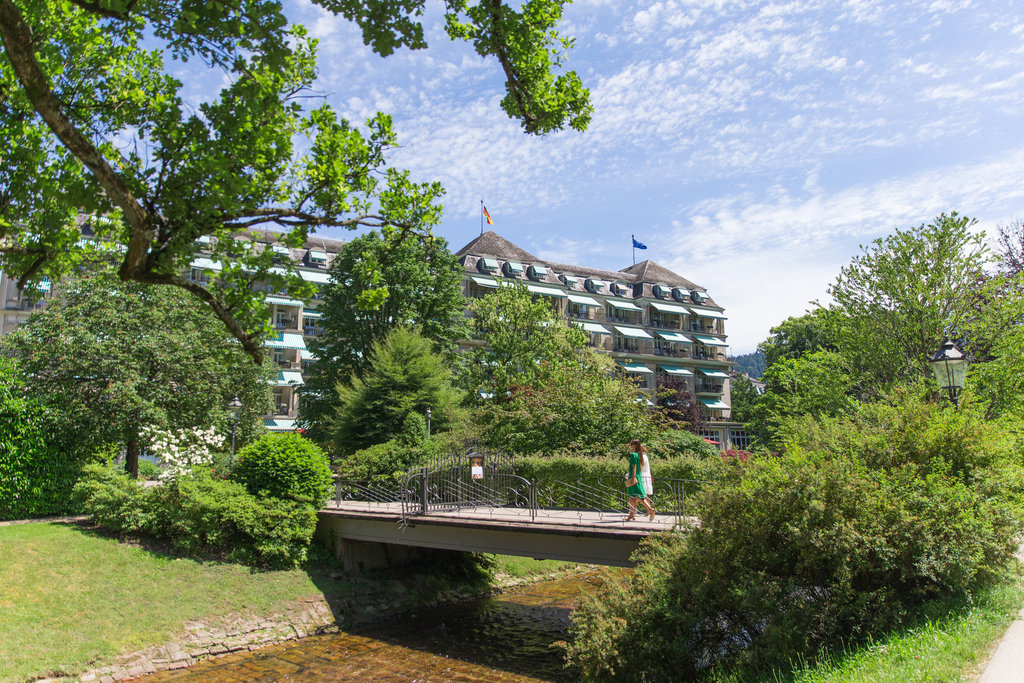 Guest photo