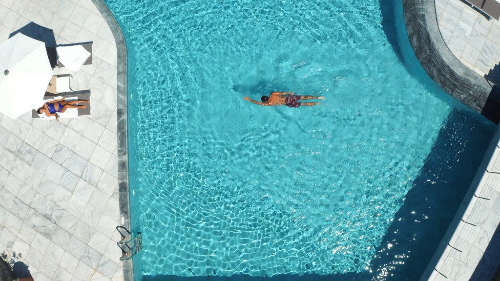 Guest photo
