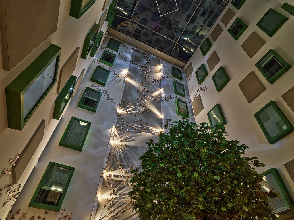Guest photo