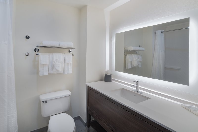 HOLIDAY INN MEMPHIS SOUTHAVEN