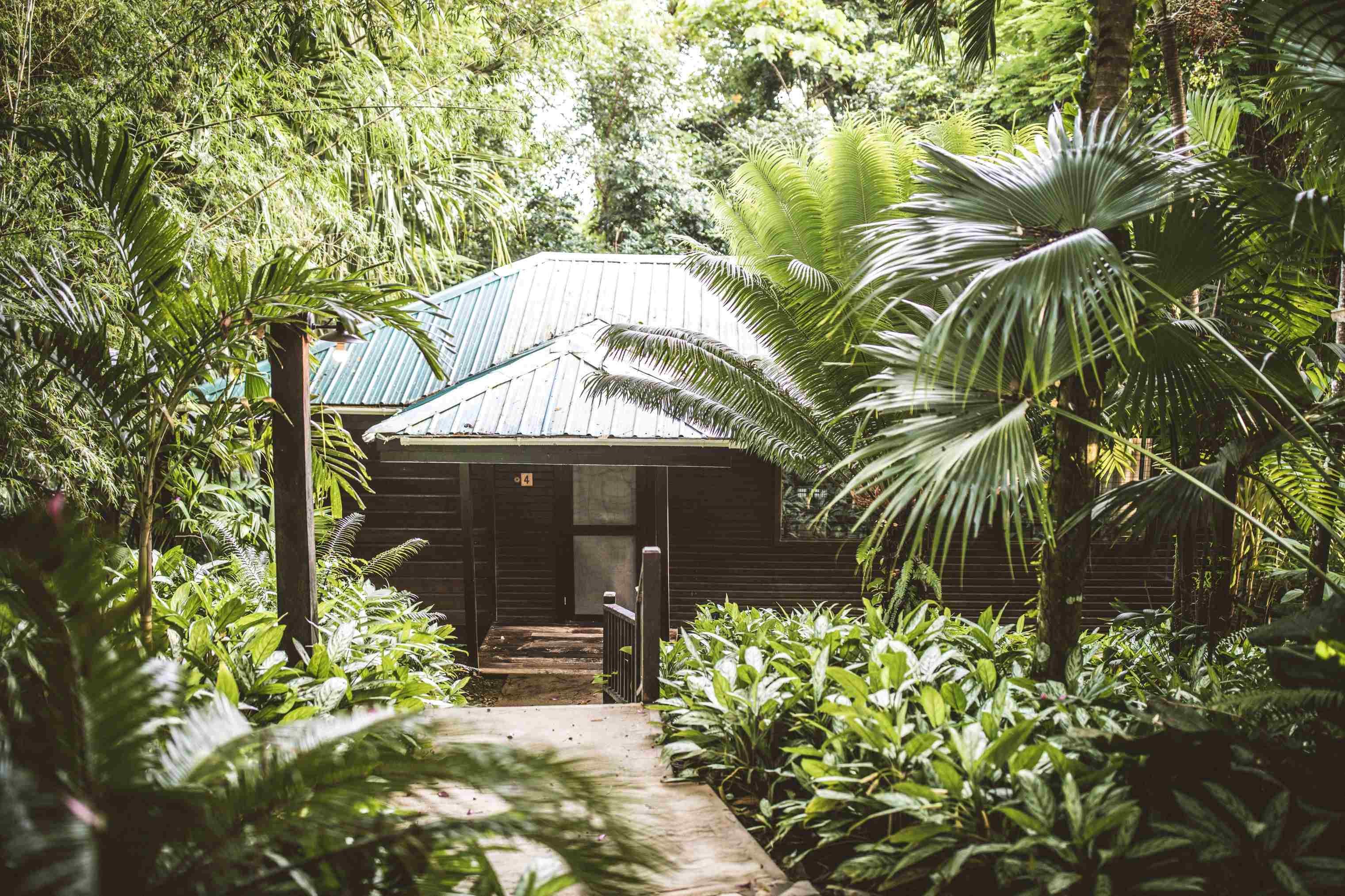 Copal Tree Lodge