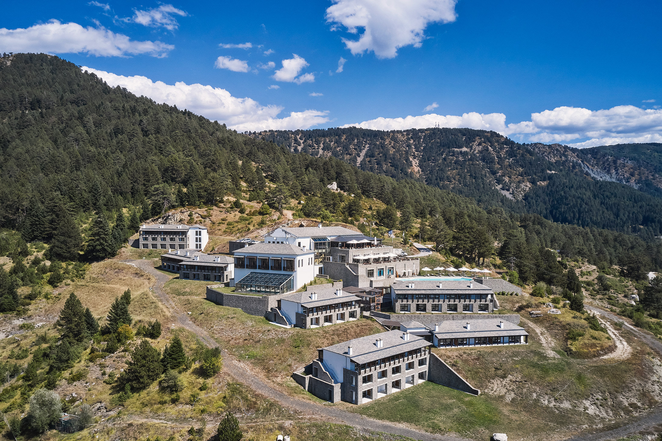 Grand Forest Hotel Metsovo
