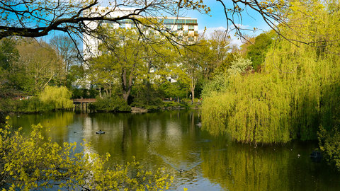 Genießen Sie einen Spaziergang im Tiergarten