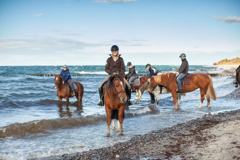 activities horse riding beach
