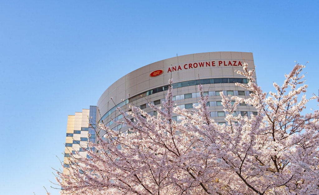 Hotel exterior in spring with beautiful cherry blossoms