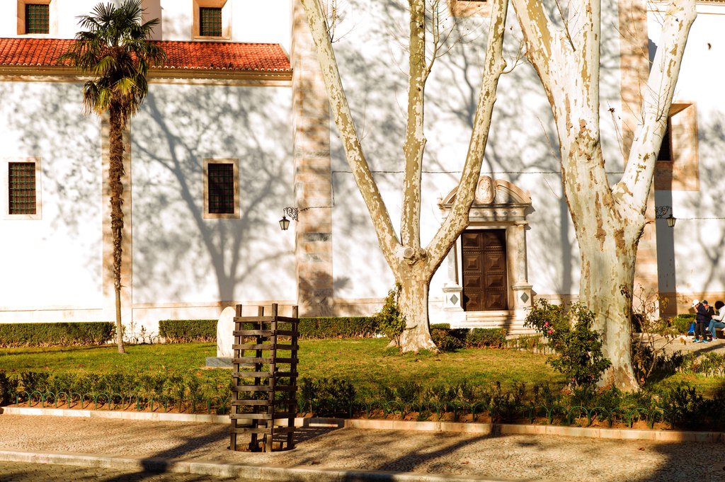Guest photo