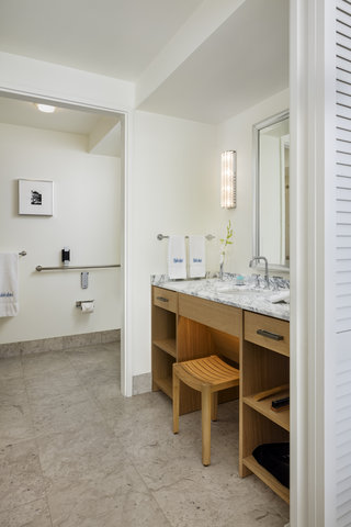 Accessible Guest Room Bathroom