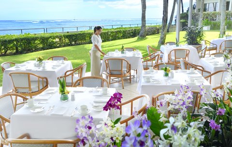 Orchids Morning Scene