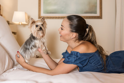 double petfriendly deluxe