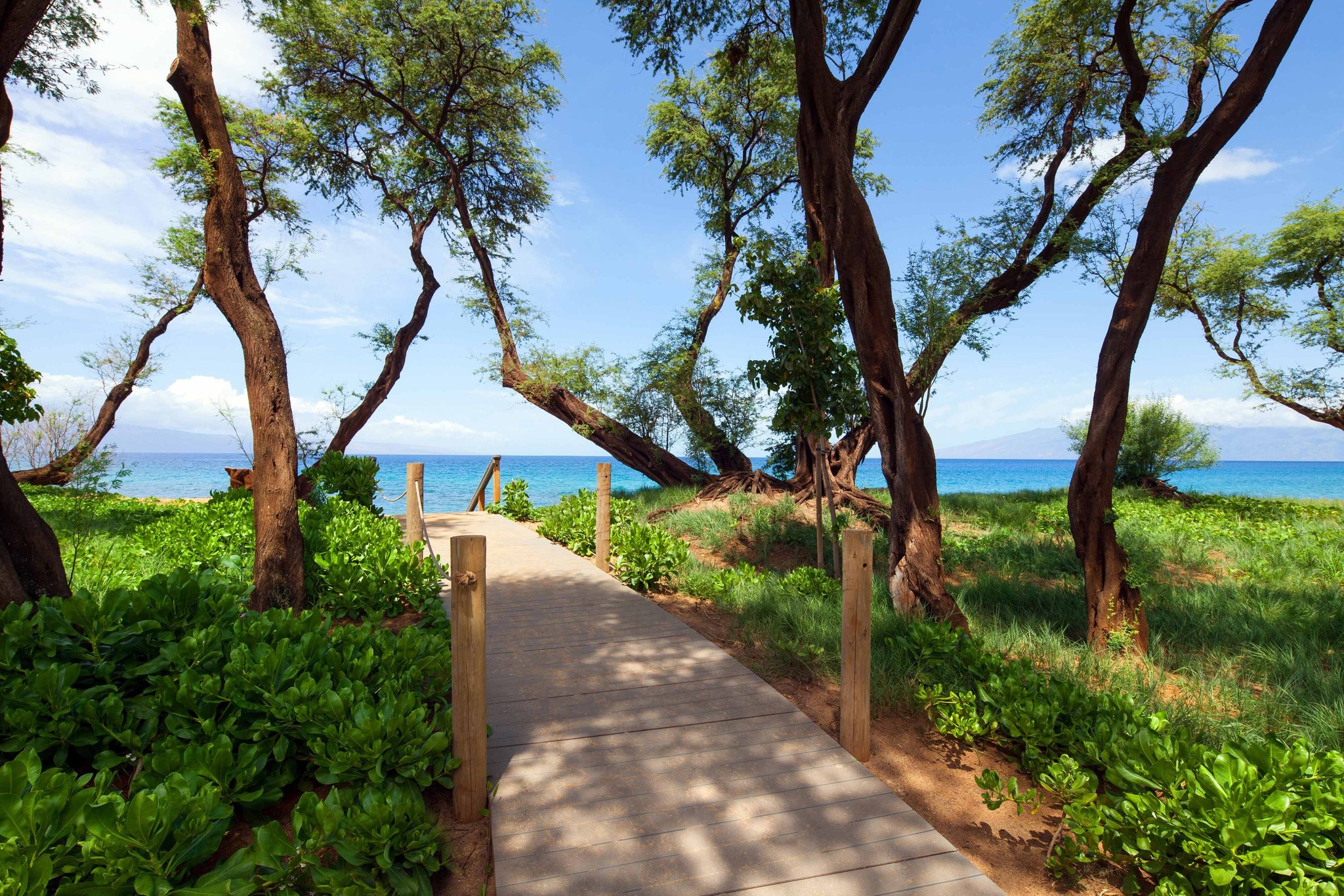The Westin Nanea Ocean Villas, Ka'anapali