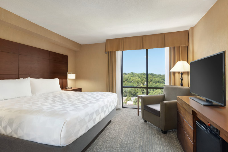 Holiday Inn National Airport/Crystal City