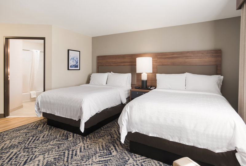 2 Double Beds Studio Suite