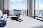 Aloft by Marriott Austin Downtown