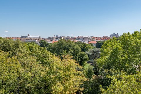 View - Park View