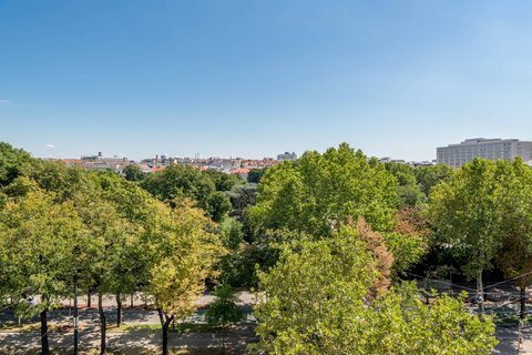 Habitación con dos camas dobles y vistas al parque - Vistas